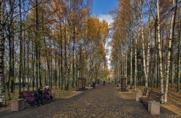 Кировский парк Сыктывкар осенью