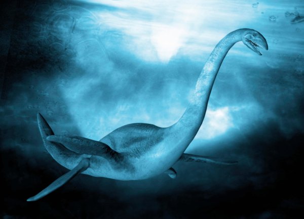 Несси Лохнесское чудовище