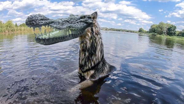 Озеро Шотландии монстр Несси