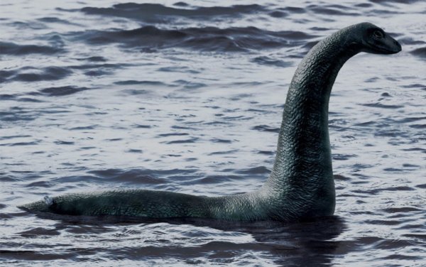 Шотландия Лохнесское чудовище