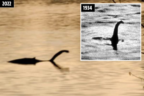 Лохнесское чудовище 2021