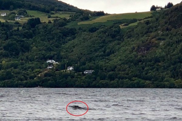 Туристы на озере Лохнесс