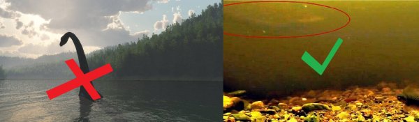 Несси Лохнесское чудовище 2021