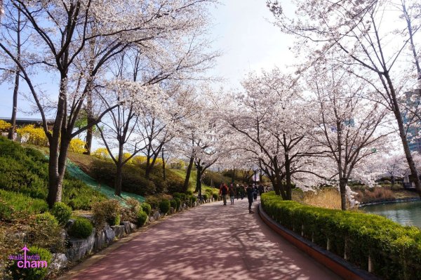 Большой Сеульский парк Южная Корея