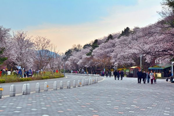 Сеул Южная Корея парк