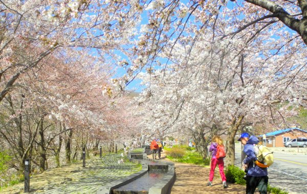 Парке Джувангсан, Южная Корея