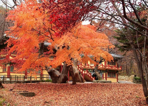 Сеульский национальный парк