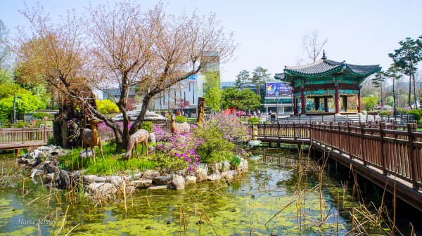 Сеульский парк