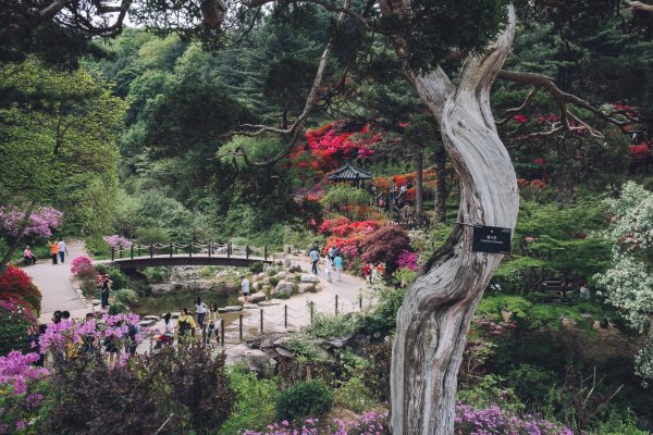 Большой Сеульский парк Республика Корея