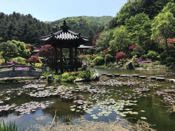 Парк Тхапколь Сеул