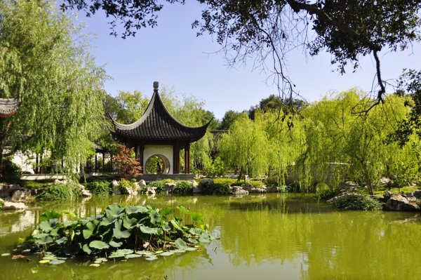 Парк в Корее пруд