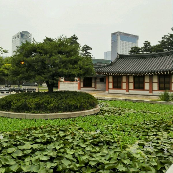 Парк Ёидо Сеул