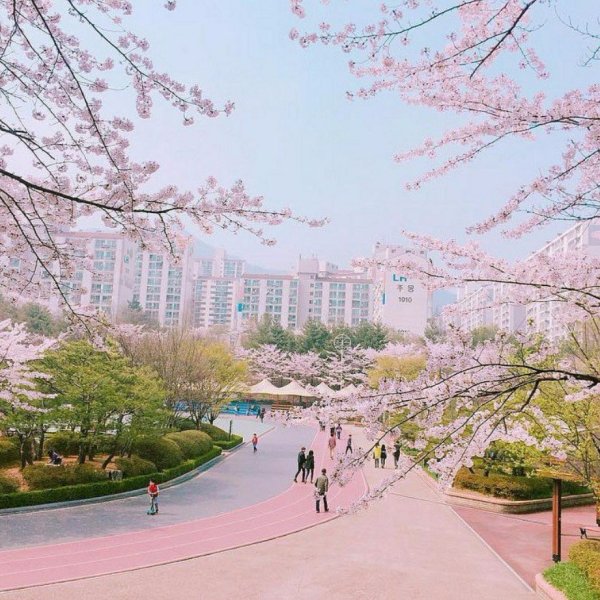 Корея Сеул Эстетика