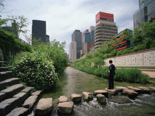 Ручей Чхонгечхон в Сеуле