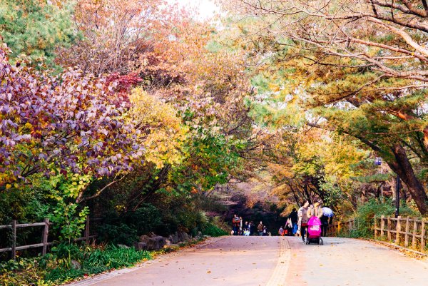 Парк горы Намсан (г. Сеул)