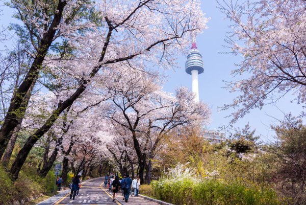 Парк горы Намсан