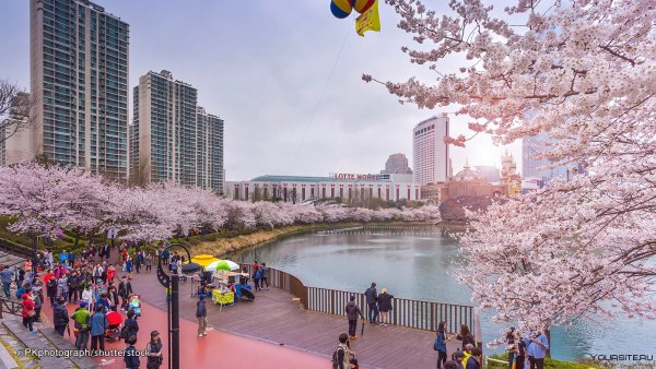 Набережная реки Хан Сеул