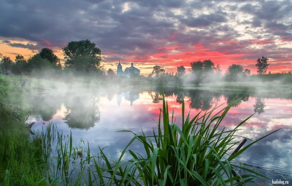 Летнее утро на реке