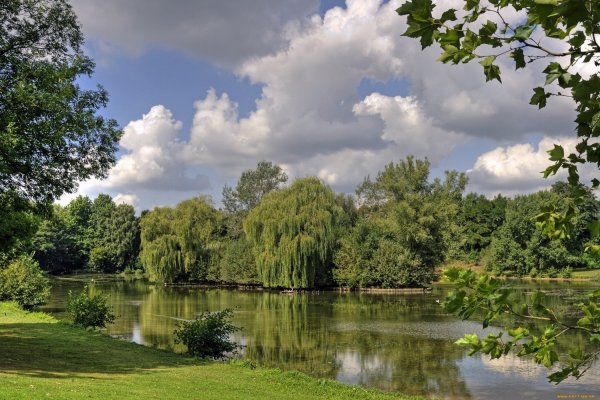 Лето природа река