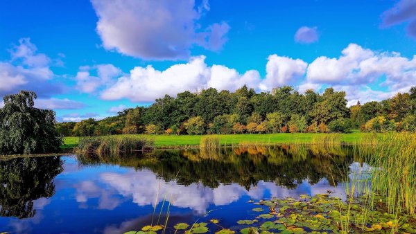 Природа речка