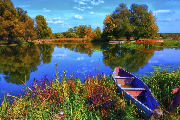 Лето река лодка