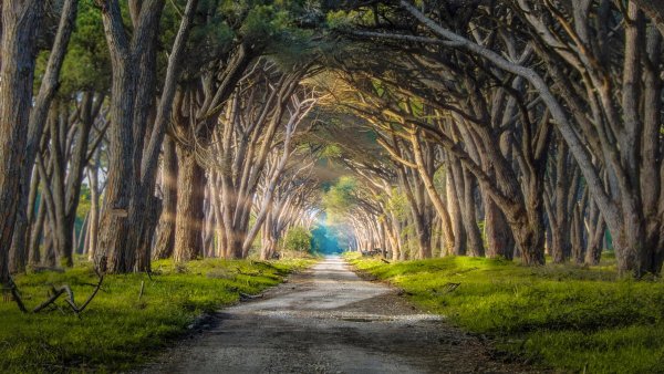 Парк Сан Россоре, Италия