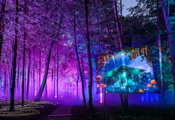 Волшебный лес в Останкино