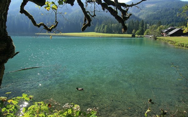 Голубое озеро Абхазия