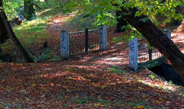 Запущенный парк