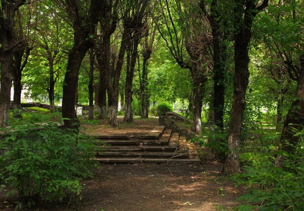 Заброшенные сады лесопарк Калиновка