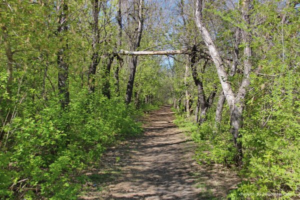 Сызрань поселок заводской