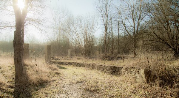 "Заброшенный сад" 1913