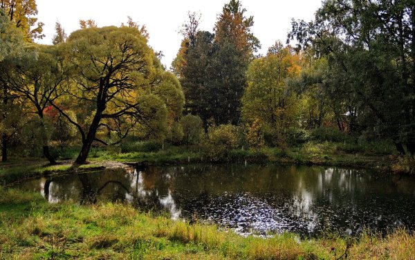 Парк Лесотехнической Академии СПБ