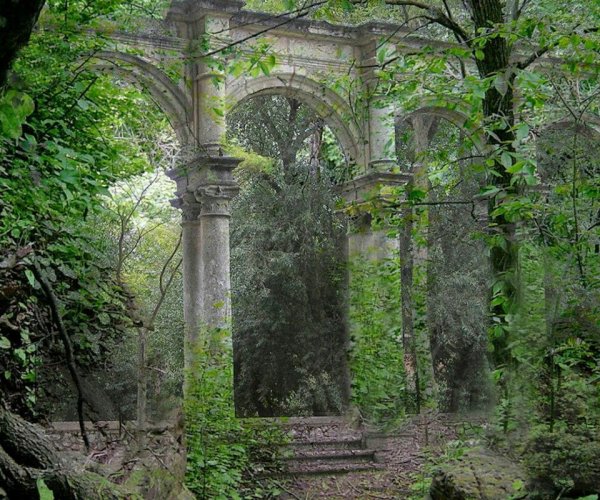 Старинный особняк заросший сад Фэйри