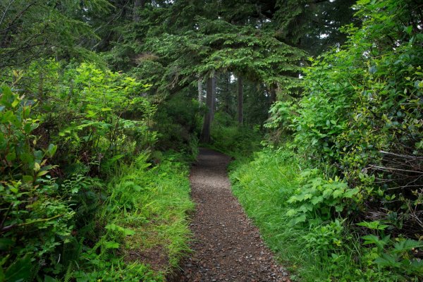 Беловежская пуща заповедник туристическая тропа