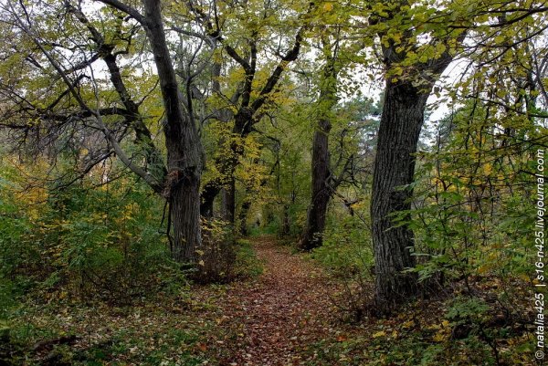 Парк конь Колодезь