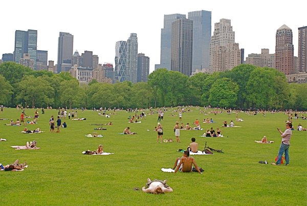 Мидоу озеро Нью Йорк