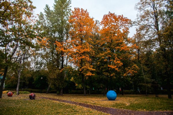 Парк Сокольники осенью