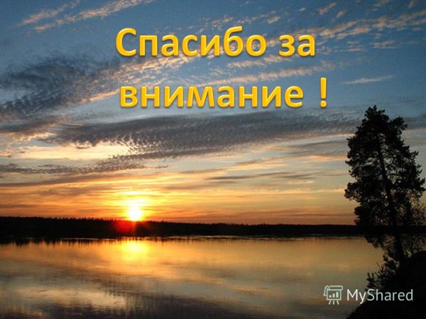 Спасибо за внимание природа