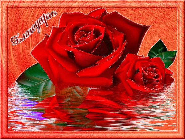 Мерцающие открытки