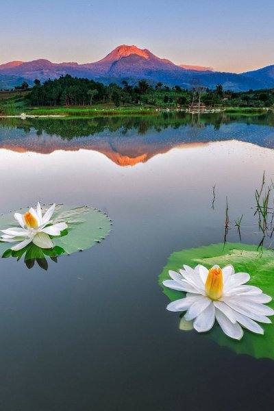 Чудесный мир природы