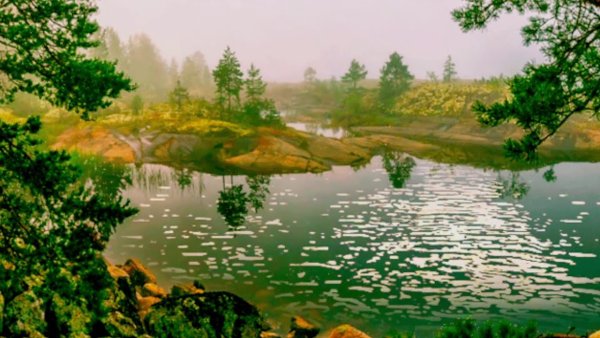 Анимационные природа летом