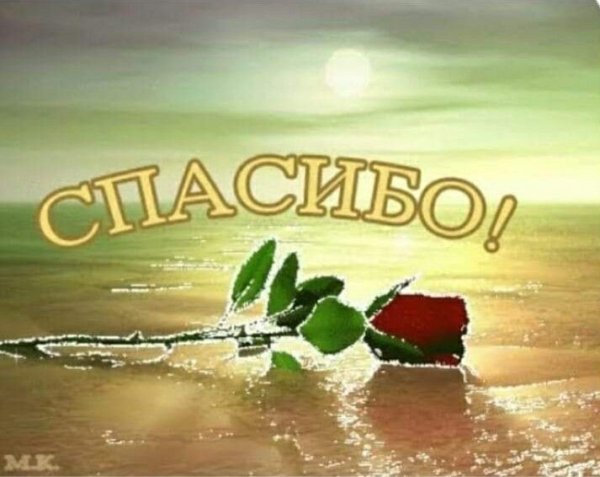 Спасибо мужчине