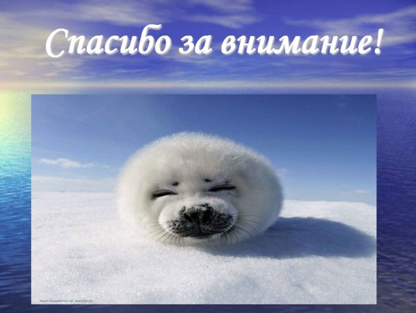 Спасибо за внимание