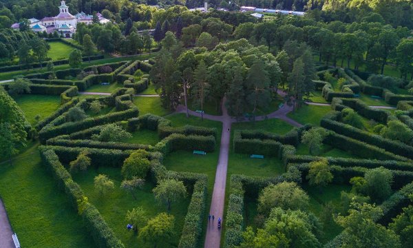 Куртина грибок в Царском селе