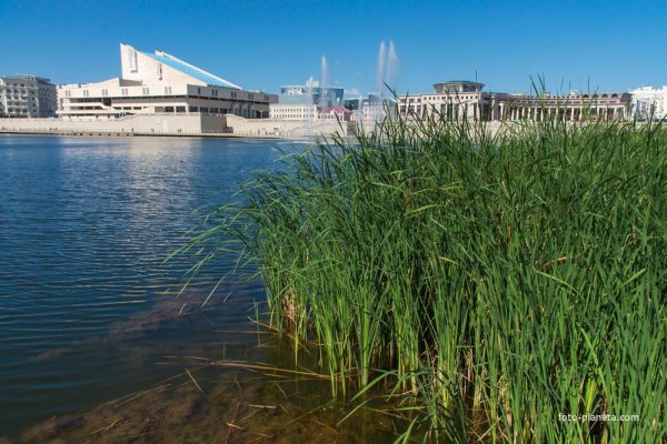 Берег озера средний кабан Казань