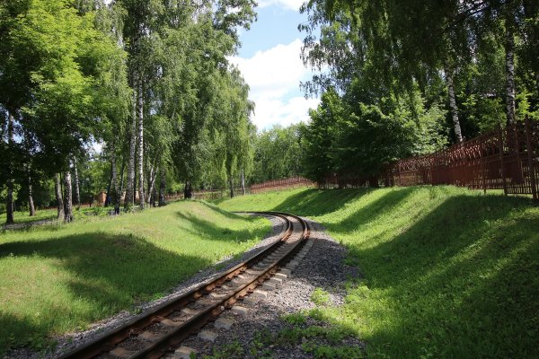 ДЖД Новомосковск Березки