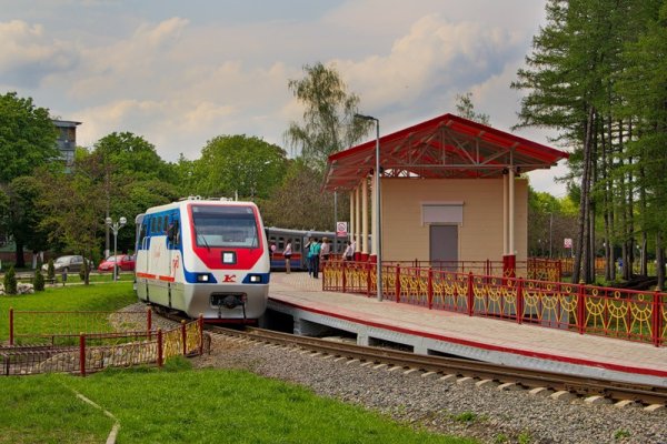 Новомосковск (Тульская детская железная дорога)