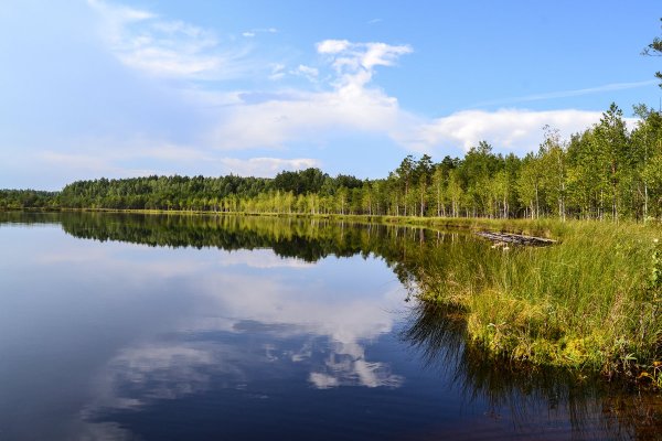 Озеро Зарослое Тавдинский