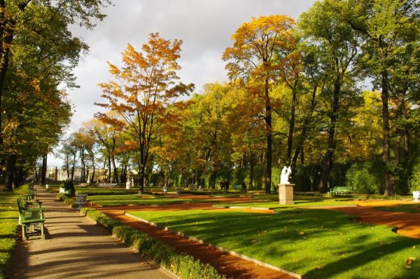 Санкт-Петербург летний сад аллеи осенью